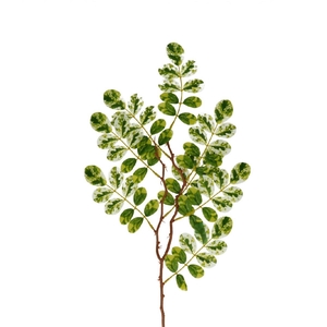Artificial flowers Ficus 65cm
