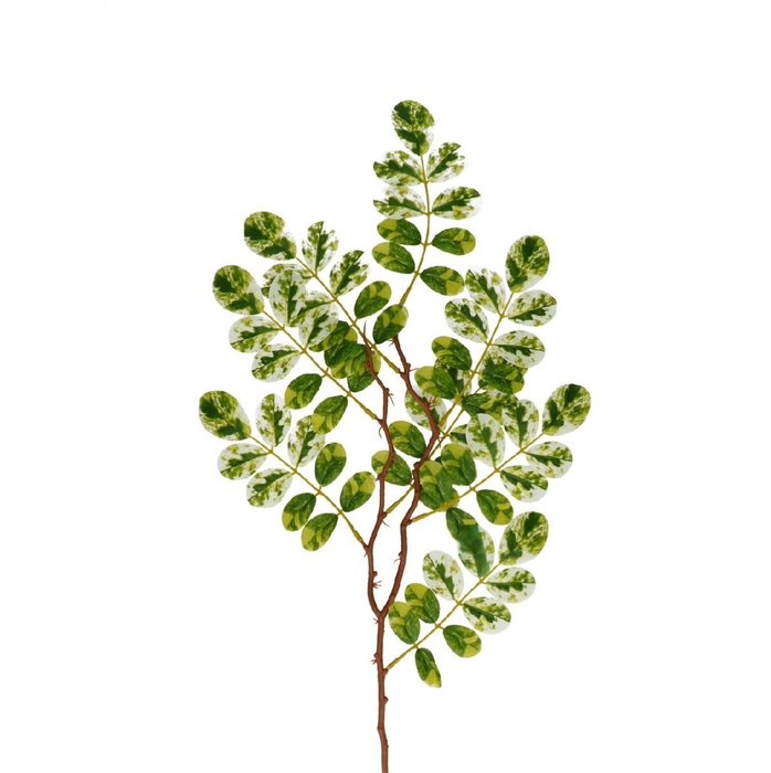 <h4>Artificial flowers Ficus 65cm</h4>