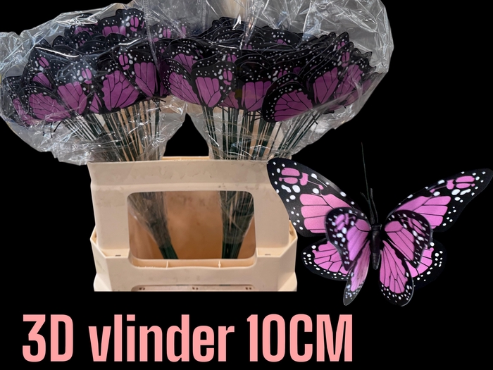 <h4>HUIS EN TUINDECO H%</h4>