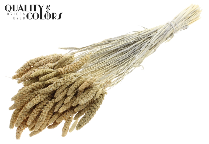 <h4>Gierst per bunch Bleached</h4>