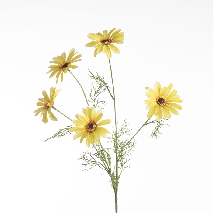 AF Leucan x5 L80cm Yellow