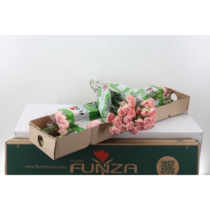 Di St Eternal Love Box