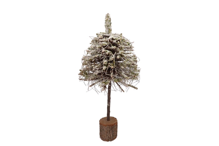 <h4>Festive Tree Poplar Moss With Snow 30x30x80cm</h4>