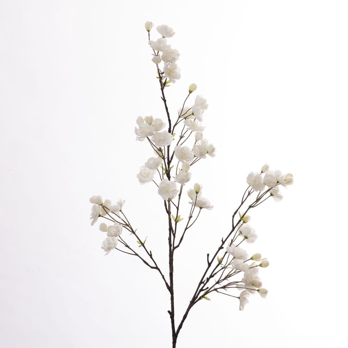 <h4>AF Cherry Blossom L133cm White</h4>