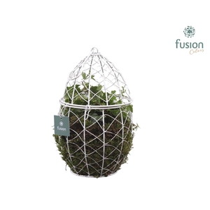 Metaal Ei met Hedera