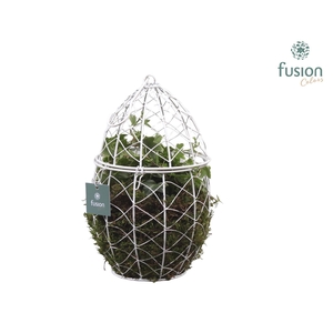 Metaal Ei met Hedera