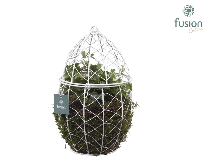 <h4>Metaal Ei met Hedera</h4>