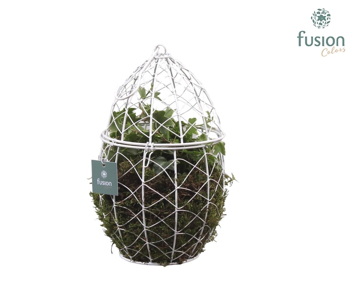 <h4>Metaal Ei met Hedera</h4>