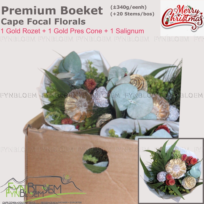 <h4>KAAPS GROE GEM IN BS</h4>