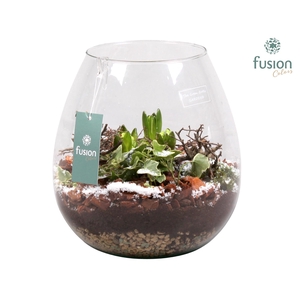 Green Bottle Abby Large Kerst met Hyacint Arrangement