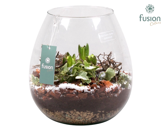 <h4>Green Bottle Abby Large Kerst met Hyacint Arrangement</h4>