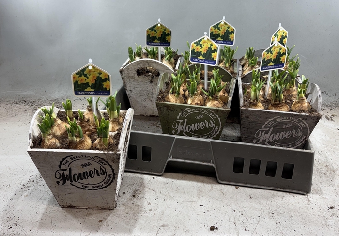 <h4>ARR N TETE A TETE</h4>