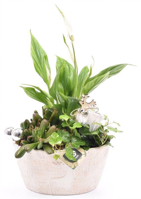 <h4>Keramiek ovaal hert decor 21x12cm</h4>