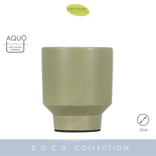 <h4>Emilia Green 12 cm Aquo</h4>