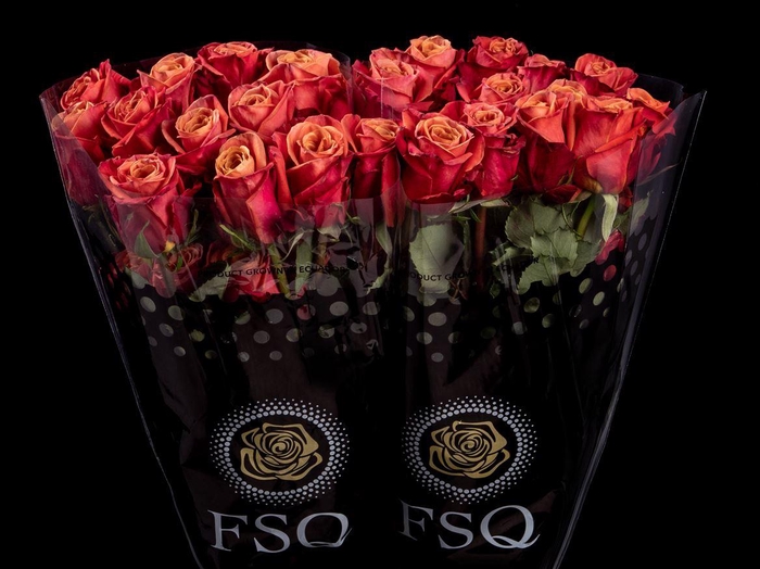 <h4>R GR Coffee Love</h4>