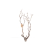 Syringa Branch Extra Coppens