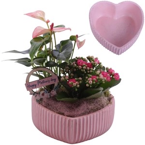 Mothersday Arr. Indoor Ceramic Heart Bowl Ribbles Ø17cm 2PP