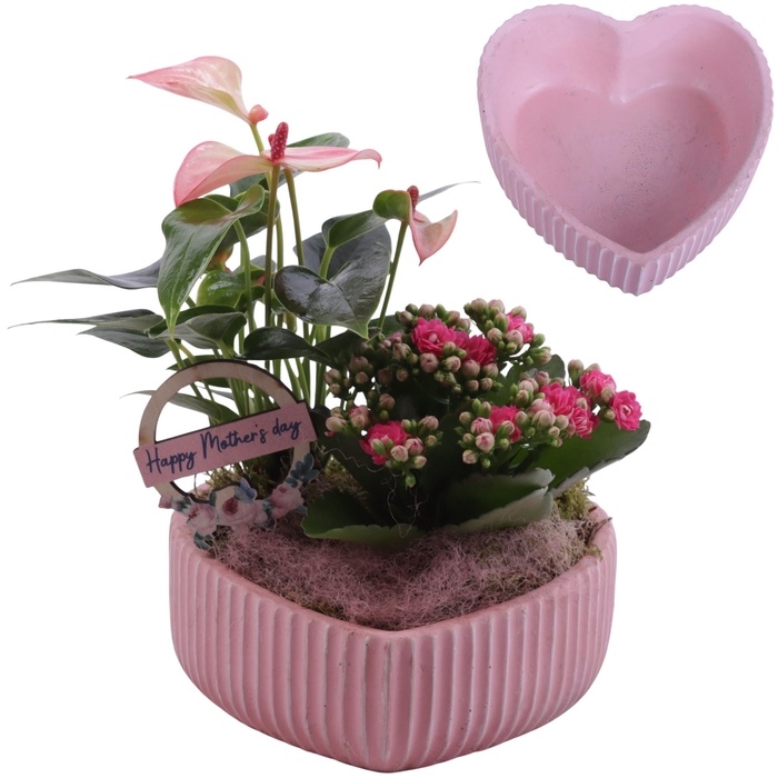 <h4>Mothersday Arr. Indoor Ceramic Heart Bowl Ribbles Ø17cm 2PP</h4>
