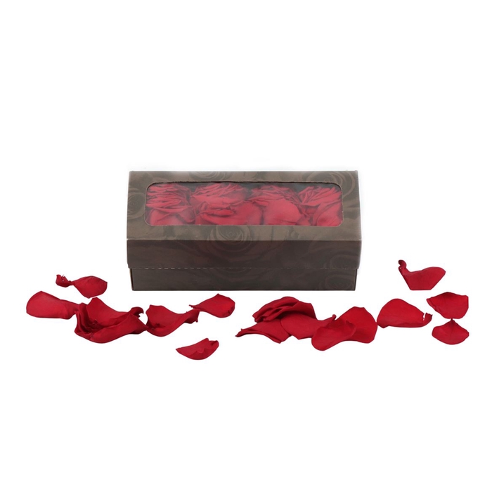 <h4>Rosa Preserved Petals Red 02</h4>