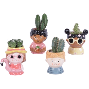 Cactus mix 5,5 cm in happy face pot