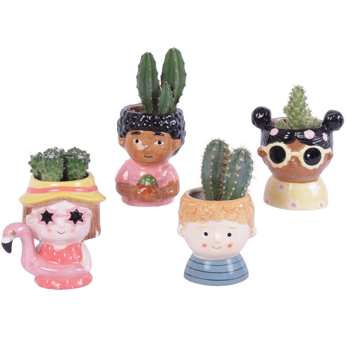 <h4>Cactus mix 5,5 cm in happy face pot</h4>