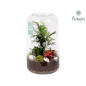 Green Bottle Isabella XXLarge met Groene Planten Arrangement