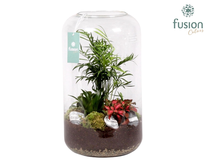 <h4>Green Bottle Isabella XXLarge met Groene Planten Arrangement</h4>