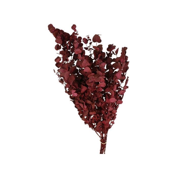 <h4>Bunch Eucalyptus 125gr Slv L70</h4>