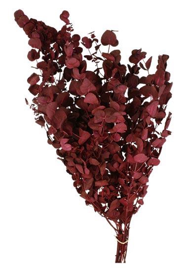 Bunch Eucalyptus 125gr Slv L70