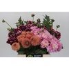 Dahlia Gemengd in fust