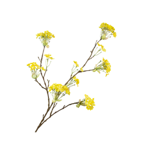 Prunus Blossom Yellow Extra