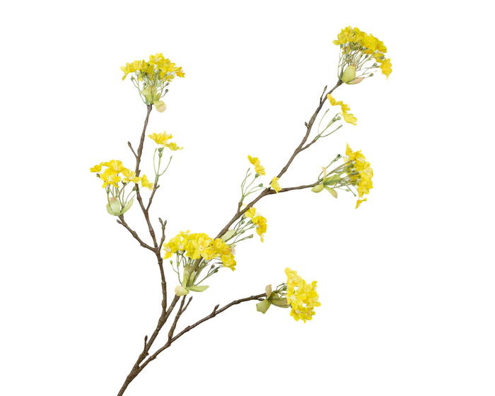 <h4>Prunus Blossom Yellow Extra</h4>