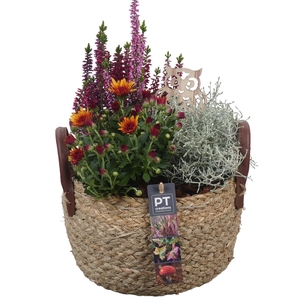 Arr.   Tuinplanten L%