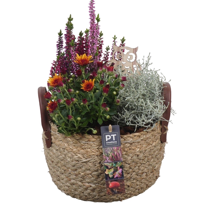 <h4>Arr.   Tuinplanten L%</h4>