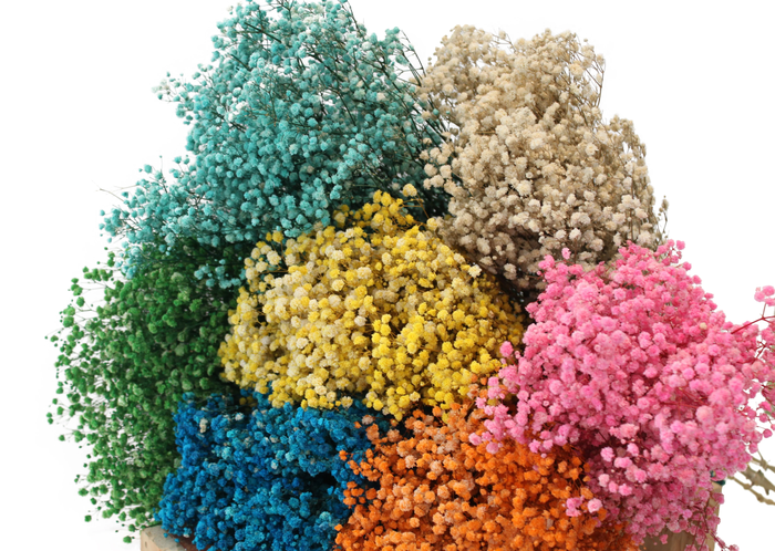 <h4>GYPS PA TINTED MIX Tessa</h4>