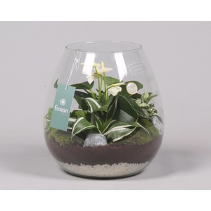 Green Bottle Abby Large met Arrrangement