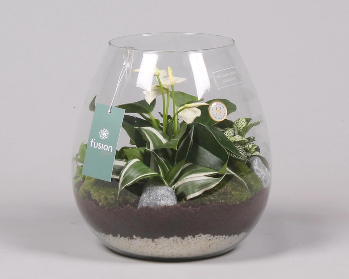 <h4>Green Bottle Abby Large met Arrrangement</h4>