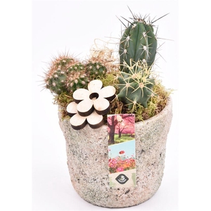 Cement pot grof 13cm