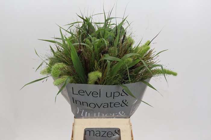 <h4>Grasses mix in bucket</h4>