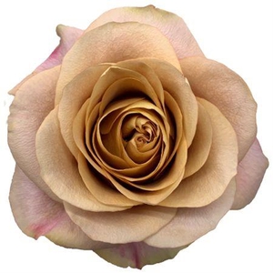 R Gr Symbol