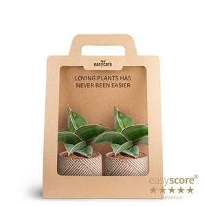 2-Pack Grove, Samurai P7