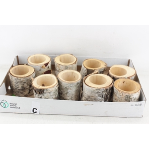 arr3 GB - Schors pot x9