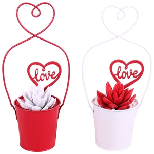 Valentine Arr. Succulent Metal Framepot + Heart Ø15cm 1PP