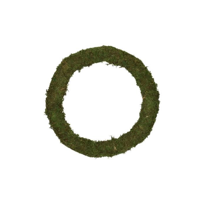 <h4>Wreath Asia Moss D30</h4>