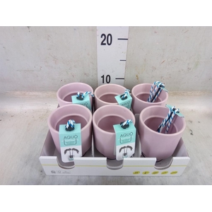 Pot   ...Keramische H%