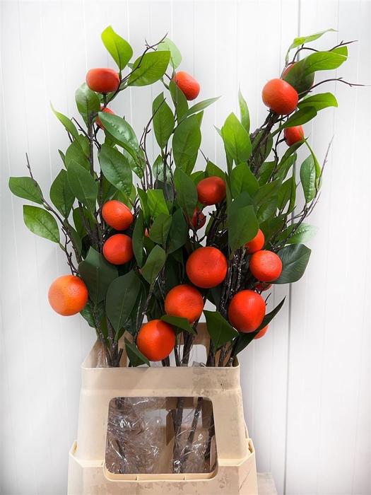 <h4>Deco Stem Clementine Plant X6</h4>