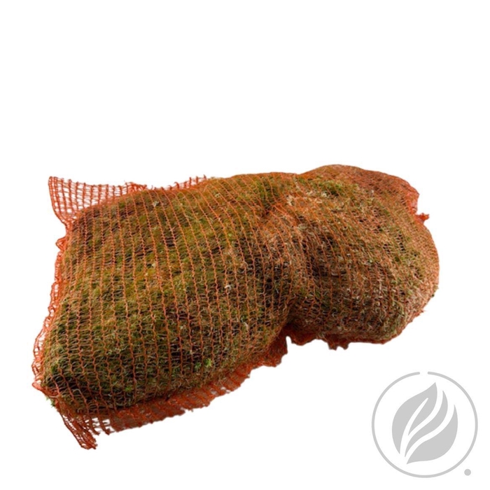 <h4>Mos Spagnum Zak</h4>