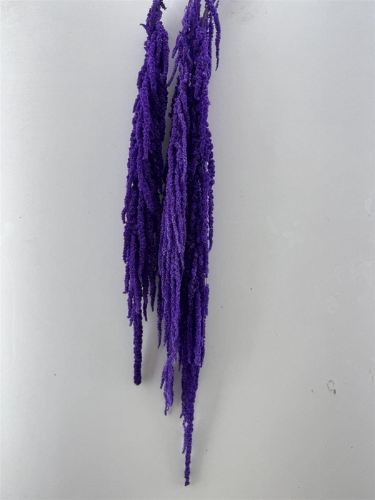<h4>Pres Amaranthus Caud Lavender Bunch</h4>