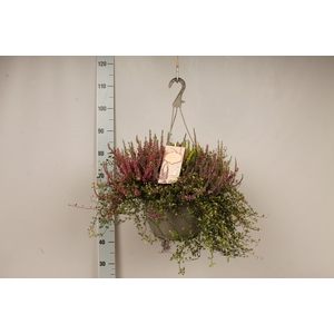 Heidemix Hangpot 27cm