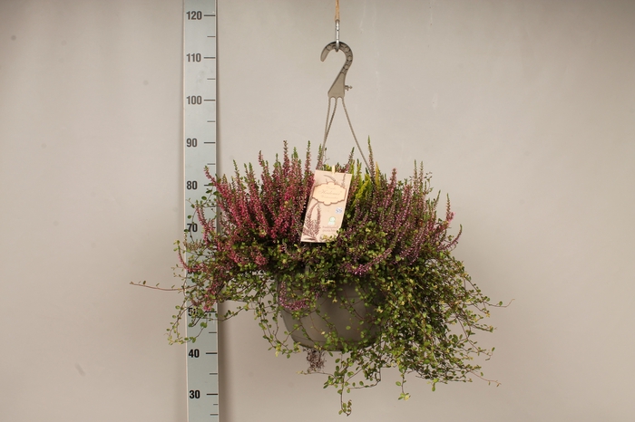 Heidemix Hangpot 27cm